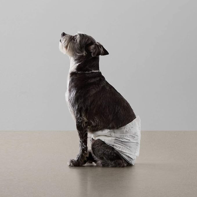 Amazon Basics Absorbent, Leakproof Male Dog Wrap Disposable Diapers, Small, Pack of 50, White