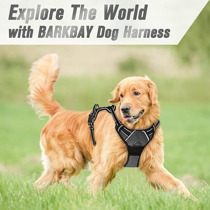 BARKBAY No Pull Dog Harness Front Clip Heavy Duty Reflective Easy Control Handle for Large Dog Walking(Dark Grey,M)