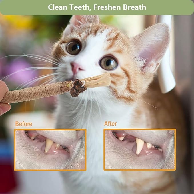 5 PCS Silvervine Sticks for Cats - Natural Cat Chew Toys for Teeth Cleaning, Kitten Teething & Aggressive Chewers
