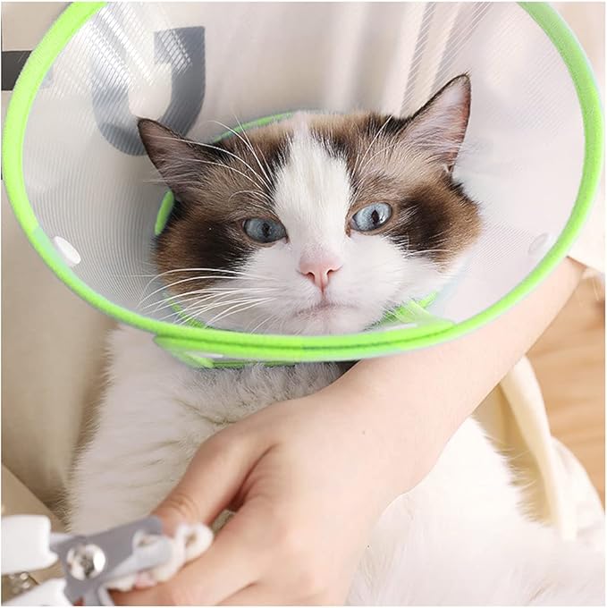 Pet Cone Recovery Dog Cone Adjustable Dog Collar Clear Padded Collar with Breathable Soft Edge, Plastic Puppy Cone Protect The Neck Surgery Recovery, Designed for Cats and Puppies (Medium, Green)