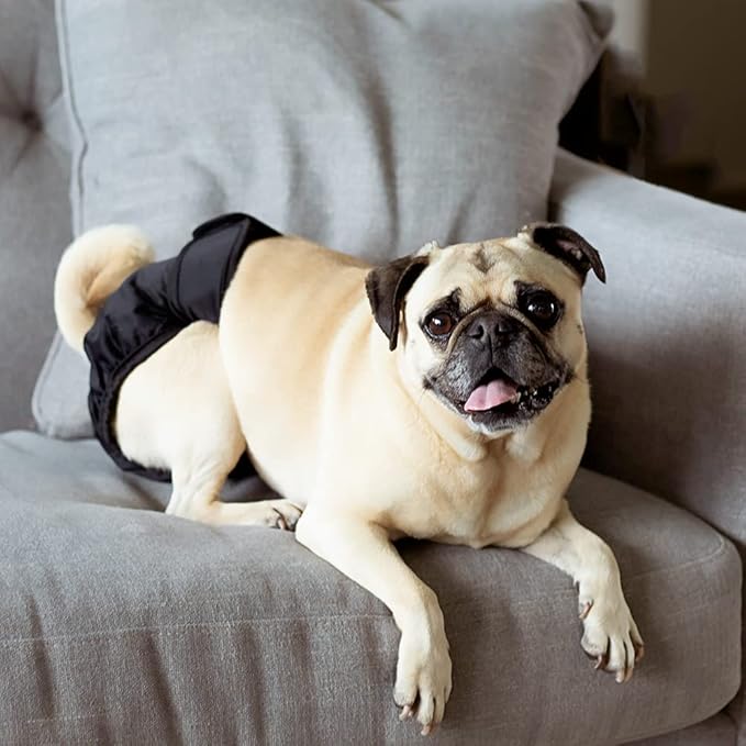 Pet Parents® Washable Dog Diapers (3pack) + Extendrs® of Durable Doggie Diapers, Premium Dog Diapers Female & Male (Small, Black)