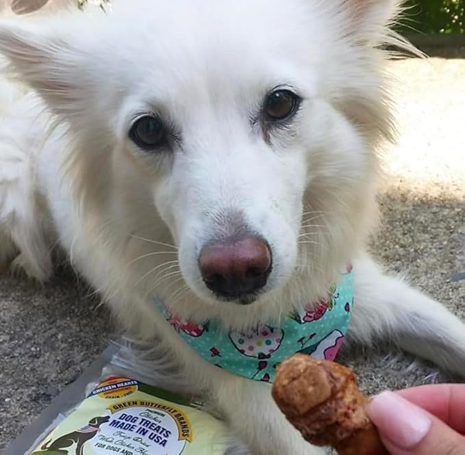 Freeze Dried Chicken Heart Dog Treats Made In USA. All Natural Freeze-Dried Raw Snacks for Dogs and Cats. One Ingredient. High Protein. Heart Health. Irresistible Training Treat