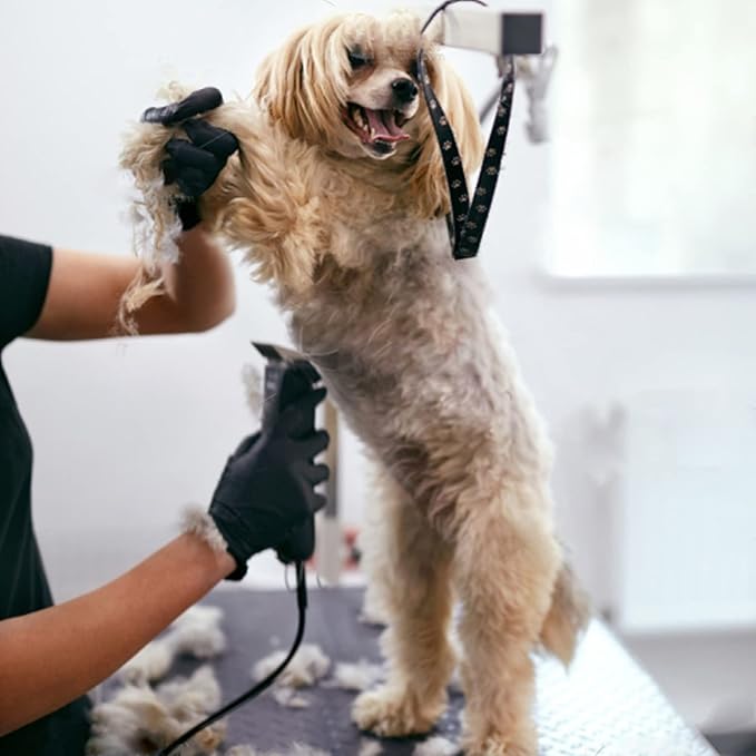 3pcs 7FC Blades Dog Grooming Replacement Blades Compatible with Andis Dog Clipper,Ceramic Blade & Stainless Steel Blade