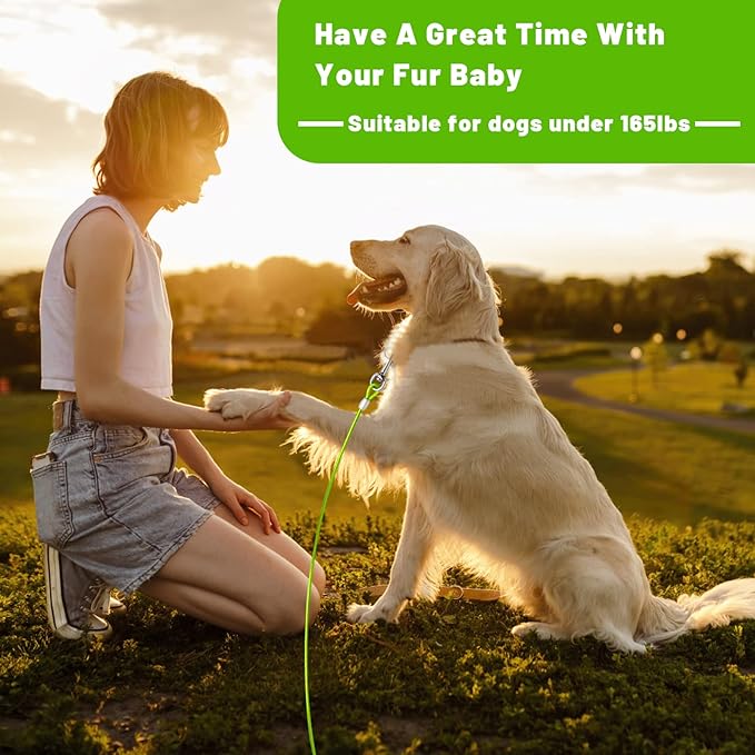 Dog Tie Out Cable 10/15/20/25/30 FT Runner for Yard Steel Wire Cable with Durable Superior Clips Green Chains for Outside Dog Lead for Large Up to 165 Lbs