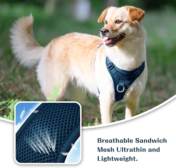 No Pull Dog Harness for Small Medium Large Dogs - Adjustable Two-Layer Mesh Dog Vest with Dual Clip, Escape Proof, Quick Release, Lightweight Breathable Mesh for Walking Hiking (Prussian Blue,S)