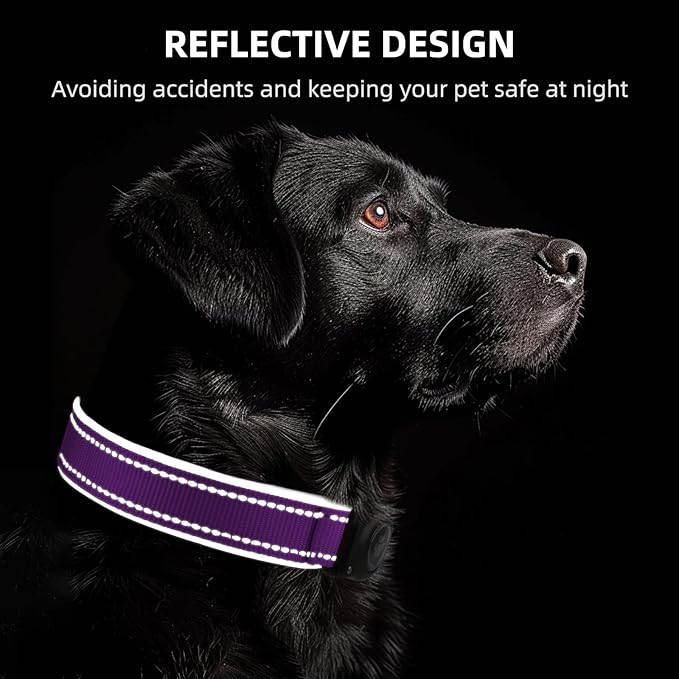 Airtag Dog Collar - 100% Waterproof Air tag Dog Collar Holder for Apple AirTag, Reflective, Soft Padded, Everlasting, GPS Dog Collar for Small Medium Large Dogs (Purple, M)