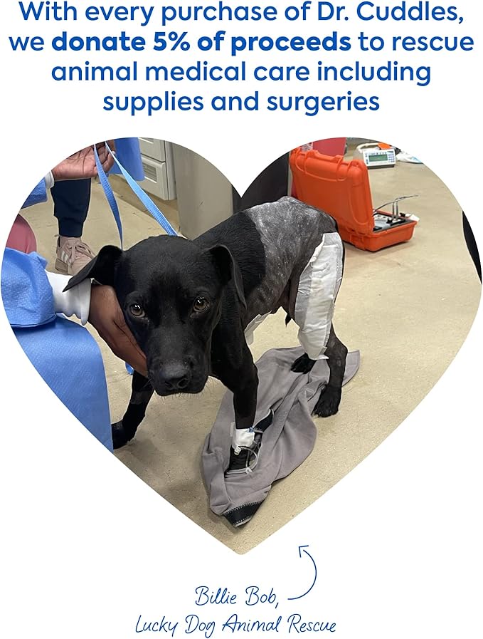 Foaming Dog Dry Shampoo, Waterless Dog Shampoo No Rinse - Waterless Cat Shampoo, Natural Botanicals & Deodorant for Fresh Smelling Fur on Dogs & Cats, Vet Formulated, Cleans & Conditions, Summer Pawty