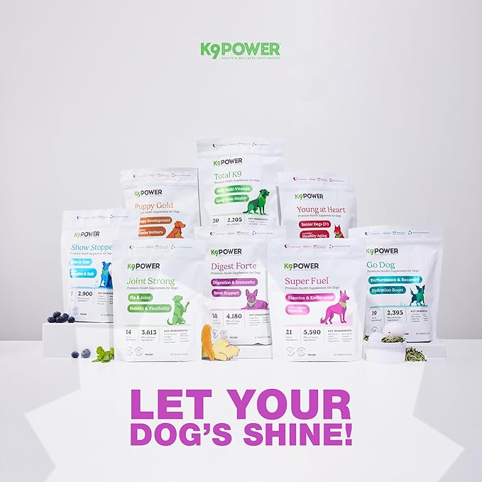 K9 Power Digest Forte for Dogs 1lb – Digestive, Immunity & Calming Support - Enhances Nutrient Absorption - Balances Gut Flora - Eases Discomfort & Boost Mood