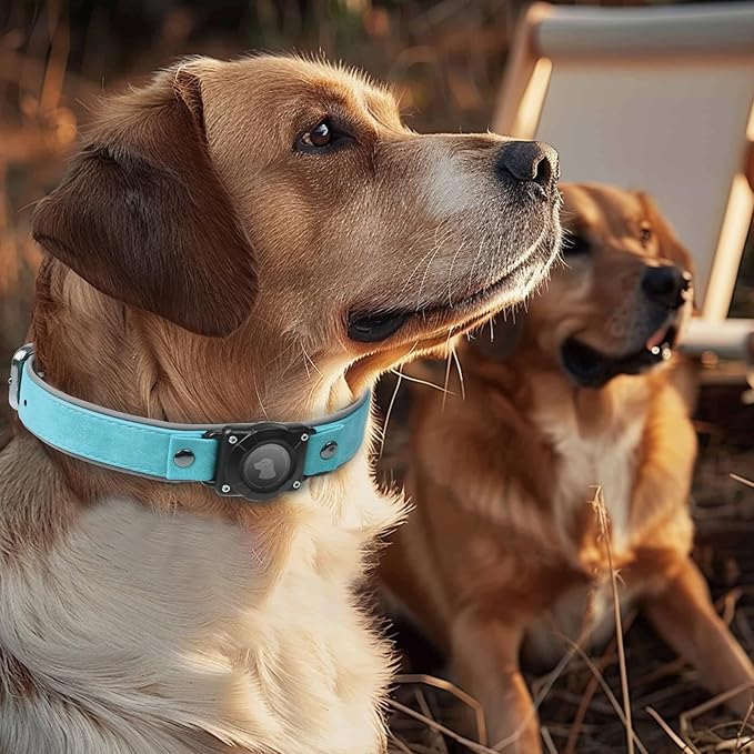 AirTag Dog Collar - Leather Dog Collar with Air Tag Holder | IPX8 Waterproof, Reflective, High - End, Adjustable Soft Padded | Dog GPS Tracker Collars Fit for Medium Large Dogs (Light Blue, XL)
