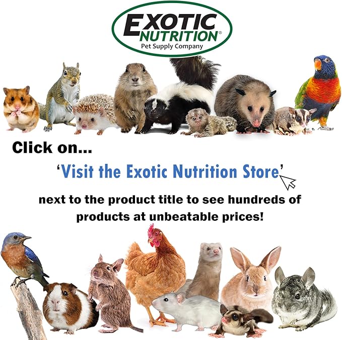 Exotic Nutrition Veggie Blend - Healthy Natural Mixed Dried Vegetable Treat - Sweet Potatoes, Carrots, Peas - for Degus, Chinchillas, Sugar Gliders, Hedgehogs, Guinea Pigs & Small Pets… (3 Pound)