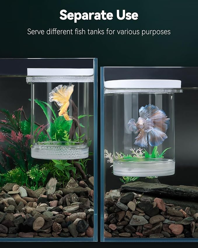 Pawfly Large Breeder Box for Fish Tank, Floating Guppy Breeder Box, Plastic Hatchery Incubator Isolation Box for Shrimp Betta Clownfish, Baby Fish Separator for Aquarium