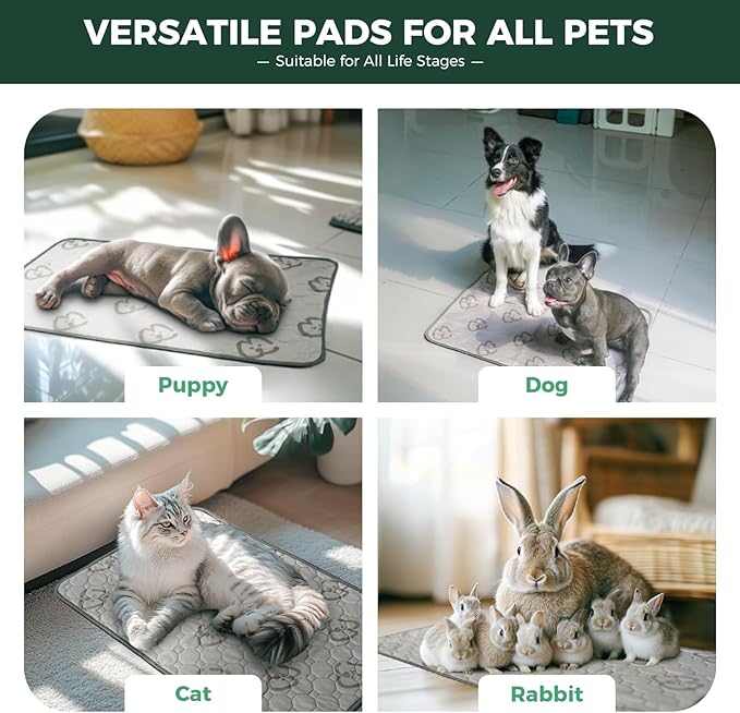 FXW Washable Pee Pads for Dogs, Puppy Pads with Super Absorbent, Specifically Designed for 24inch Cages, 23" × 17" Rectangle, Khaki, 1 Pack