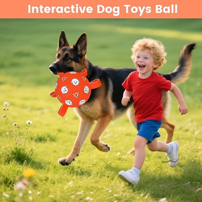 Dog Balls Toy, Durable Soccer Ball with Straps, Interactive Dog Toys, Water Fetch Ball for Tug of War, Herding, Dog Toys to Keep Them Busy ā Dog Birthday Gift for Medium Large, 8 Inch
