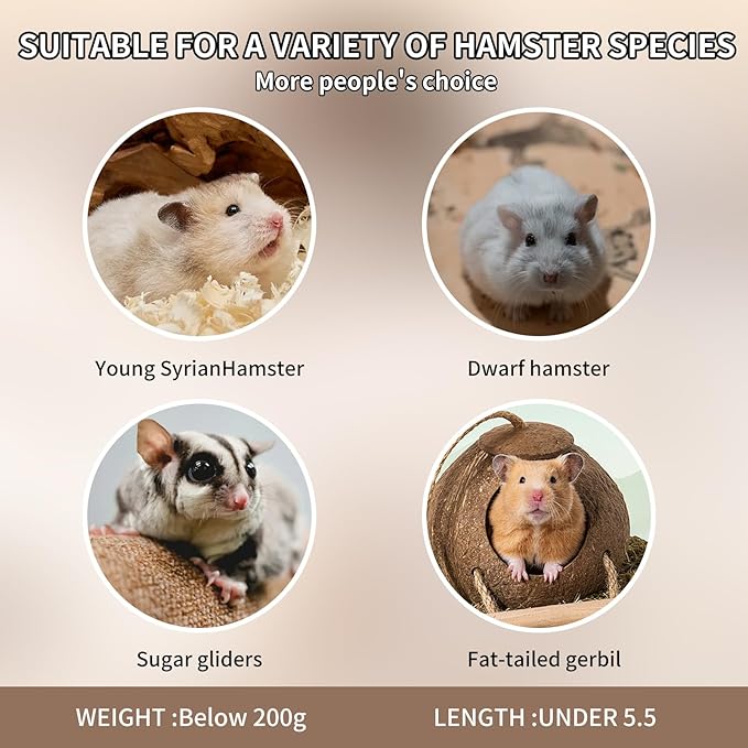 3-in-1 Bear Shaped Ceramic Hamster House - Cool House for Syrian Dwarf Hamsters, Mice, Gerbils, Small Pets, Top for Hamster Food, Removable Lid for Ice Packs, Cute Cool Hideout for Summer(Pink)