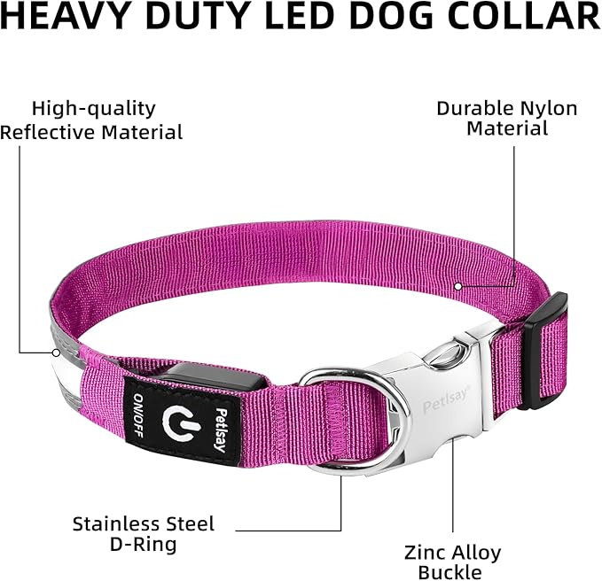 PetIsay LED Dog Collar Metal Buckle - Heavy Duty Light up Collars - Rechargeable IP68 Waterproof - Lighted Dog Collar for Night Walking, Hiking, Camping (Medium, Purple)