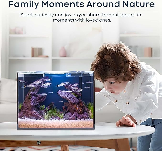 2.6 Gallon Glass Fish Tank Cube, Small Aquarium Fish Bowl for Betta Goldfish Snails Shrimp Aquatic Planting, Easy to Maintain Ultra Clear Rimless Design for Desktop Small Spaces