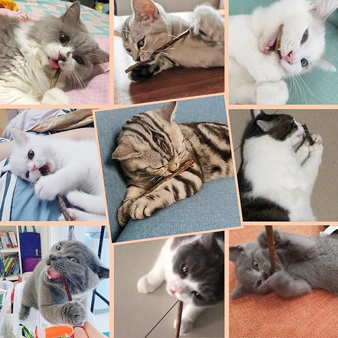 10 PCS Cat Catnip Sticks, Natural Matatabi Silvervine Sticks - Cleaning Teeth Molar Tools Kitten Chew Toy Natural Catnip Cats Toy