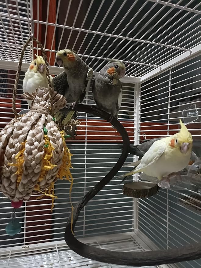Parrot Perch Stand Bird Cage Stand Pole Natural Wild Grape Stick Grinding Paw Cage Accessories for Parakeet Cockatiels Budgies Conure Lovebirds Platform (S-Shaped)