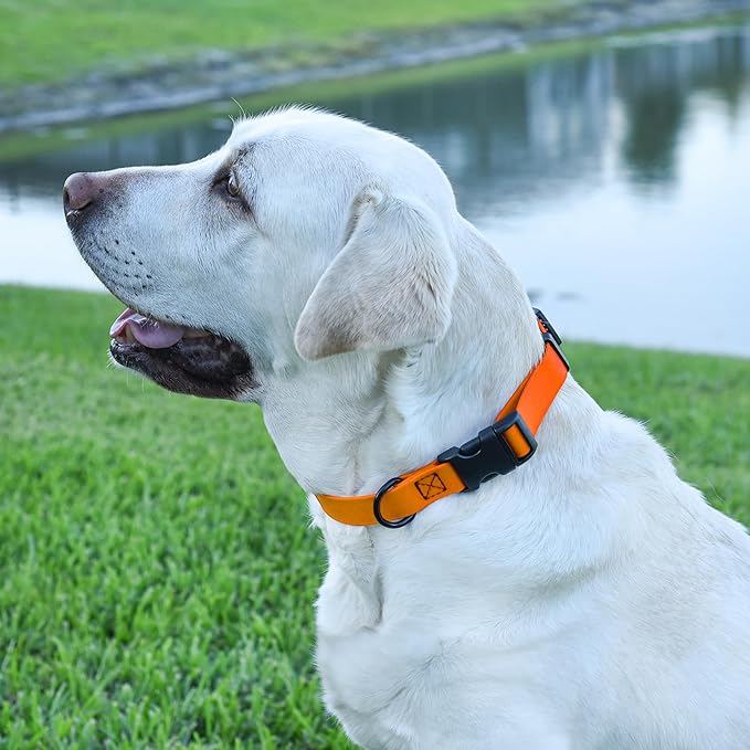 Dogline Biothane Waterproof Dog Collar with Quick Release Buckle Strong Coated Nylon Webbing with Odor- Proof for Easy Care Easy to Clean Fits Small Medium Large Dogs, Tangerine Orange 5/8" W 9-14" L