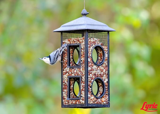 Lyric Delite Wild Bird Seed - No Waste Bird Food Mix with Shell-Free Nuts & Seeds - Attracts Buntings, Chickadees & Finches - 20 lb bag