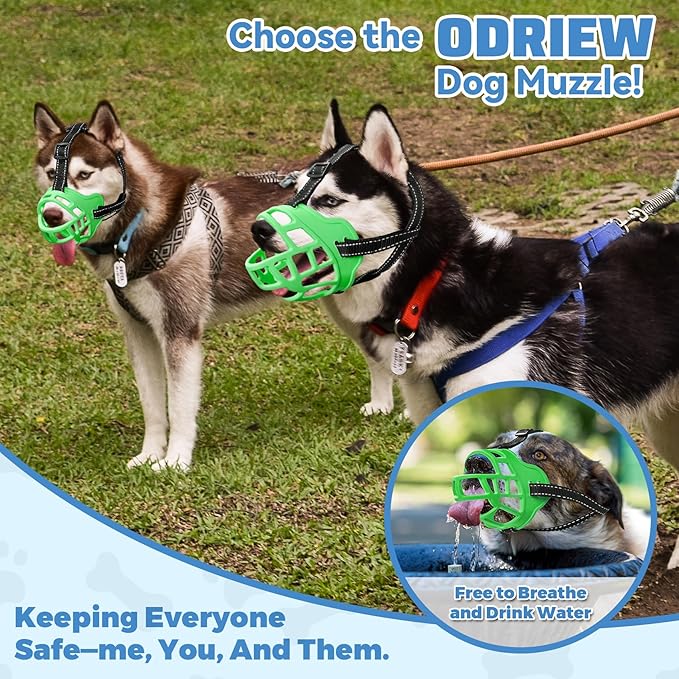 Dog Muzzle for Large Dogs, Breathable Basket Muzzles for Small, Medium and X-Large Aggressive Dog, Allows Panting Drinking, Suitable for Grooming Trimming Training (3, Luminous Green)