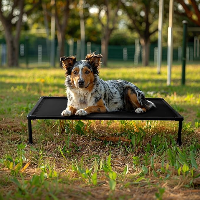 Veehoo Chew Proof Elevated Dog Bed, Durable Raised Dog Training Platform, Platform Dog Beds for Large Dogs, Raised Pet Cot Training System for Place, Agility, Indoor or Outdoor, CWC2420CP