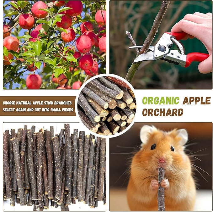 900g/2lb Small Apple Sticks Animals Molar Wood Treats Toys for Rabbits Chinchillas Guinea Pig Hamster Gerbil Parrot Bunny and Small Animals Chew Stick Toys Treats