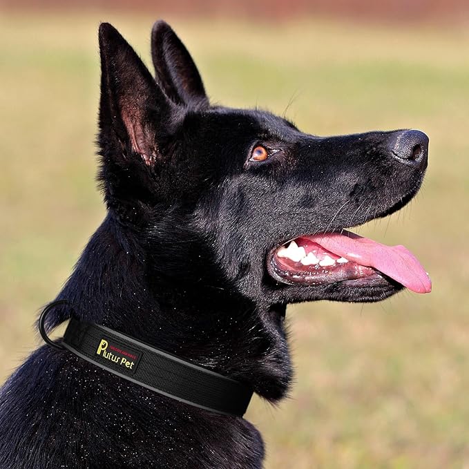 Plutus Pet Tactical Dog Collar, Reflective, Adjustable Heavy Duty Dog Collar, Soft Padded and Comfortable, for Small Medium and Large Dogs (Black, L)