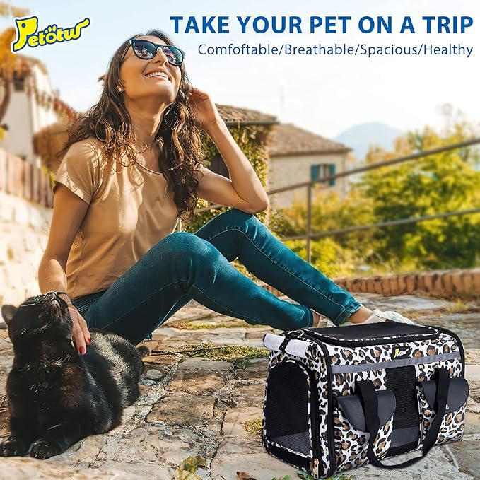 Pet Carrier for Small Dogs and Cats - Soft-Sided Travel Kennel, Portable Foldable Bag (Large)