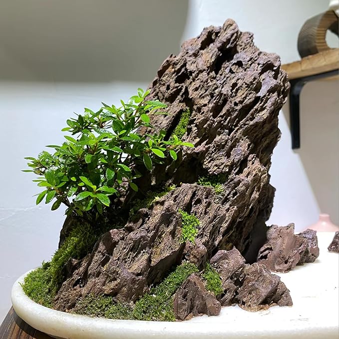 Natural Rock Stone 10LB Fish tank rock for Aquarium Landscaping Models Fish Tank Decoration, Freshwater Planted Aquariums and Amphibian enclosures-2-6 inches