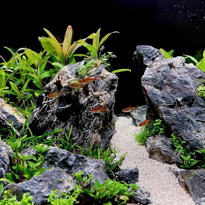 6-8 Inches Natural Seiryu Stone 6 PCS Aquarium Rocks for Aquascaping, Aquarium Landscaping, Terrariums, Fish Tank Decoration, Vivariums, Paludarium, Reptile and Amphibian Enclosures