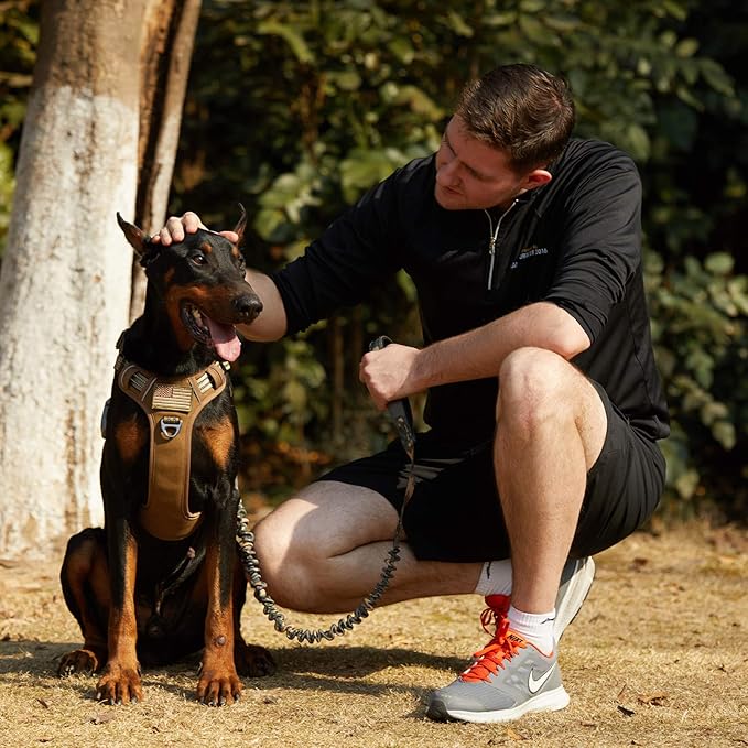 BUMBIN Tactical Dog Harness for Large Dogs No Pull, Famous TIK Tok No Pull, Fit Smart Reflective Pet Walking Harness for Training, Adjustable Dog Vest Harness with Handle Brown L