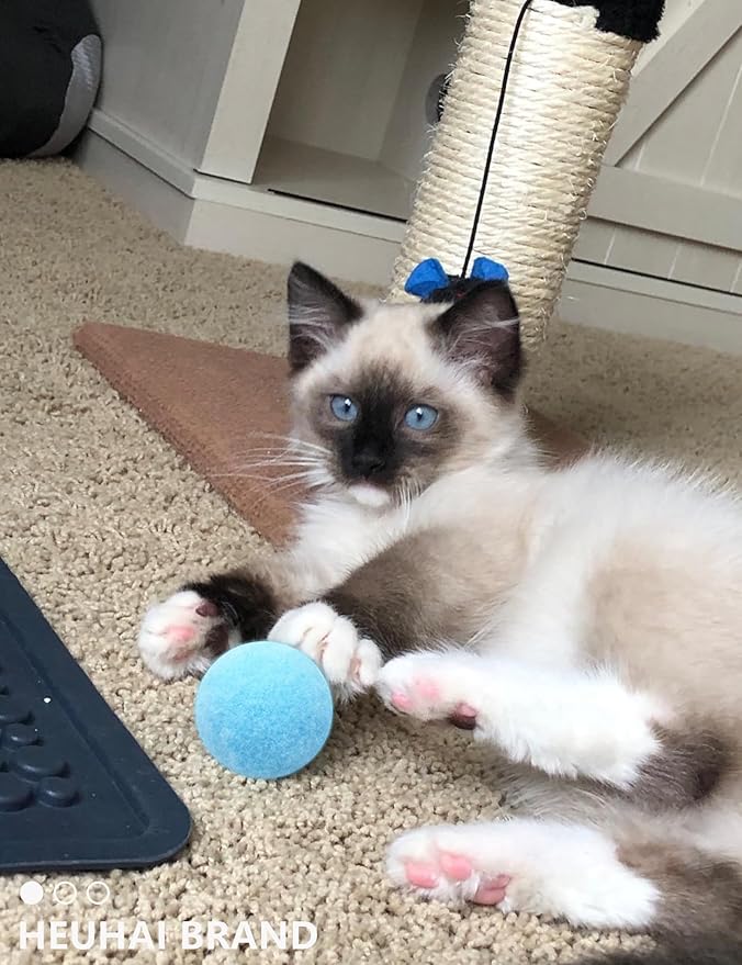 40-Pack Cat Balls – Fun Interactive Toys for Indoor Cats & Kittens (Basic Cat Toy Set)