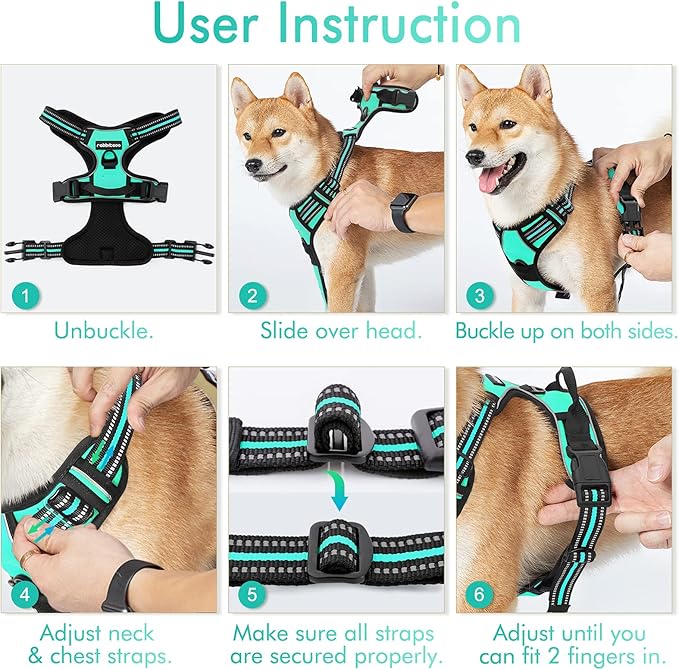 rabbitgoo Dog Harness No Pull with 2 Leash Clips, Adjustable Soft Padded, Reflective Oxford No Choke Pet Vest with Easy Control Handle for Small Dogs, Turquoise, S