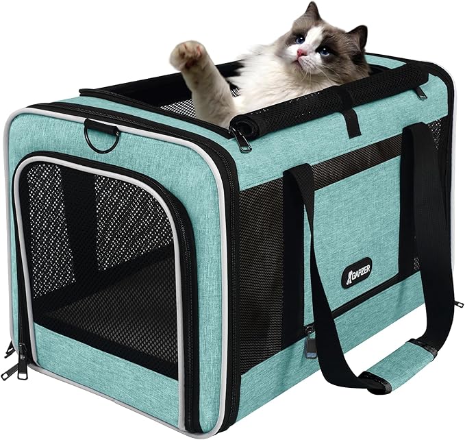Cat Carrier 18"x11"x11" TSA Approved Ventilated Top Open Softsided Pet Air Travel Bag, Small Animal Basic Crate Shih Tzu Dog Kennel Carry Case, 4-Mesh-Side Kitty Carry on up to 20lbs Teal