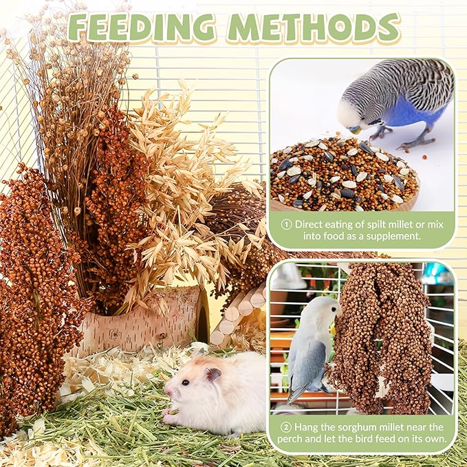 Fhiny Millet Spray for Birds, 6 PCS Natural Sun-Dried Red Sorghum Grain for Birds Seed Original Parrot Treats & Supplement Parakeet Food for Cockatiels Lovebirds Finches Budgies Pigeons Hamsters