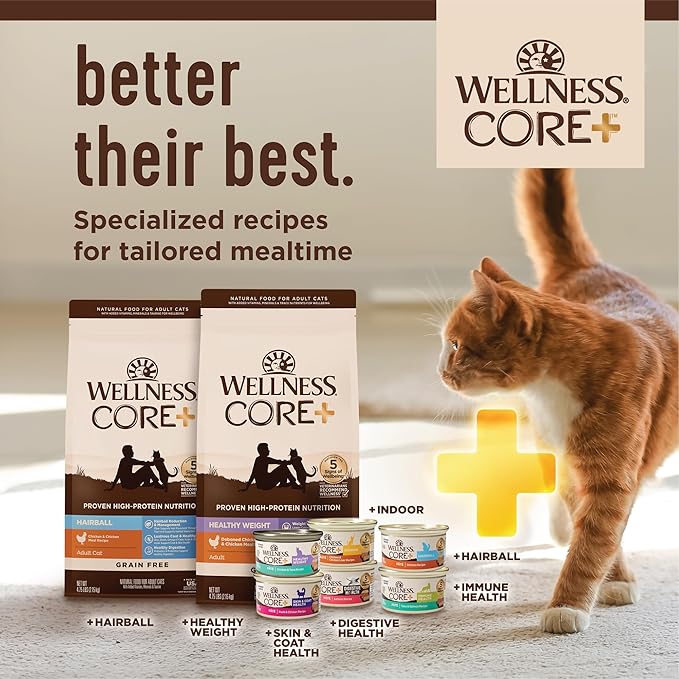 Wellness CORE+ Indoor Pate Adult Wet Cat Food, Natural, Protein-Rich, Grain Free, 5.5 Ounce, 24 Pack (Chicken & Chicken Liver)