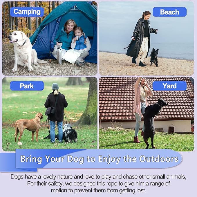 10FT Heavy Duty Dog Tie Out Cable for Large Dogs up to 125lbs, Durable Runner Tether Line (Blue)