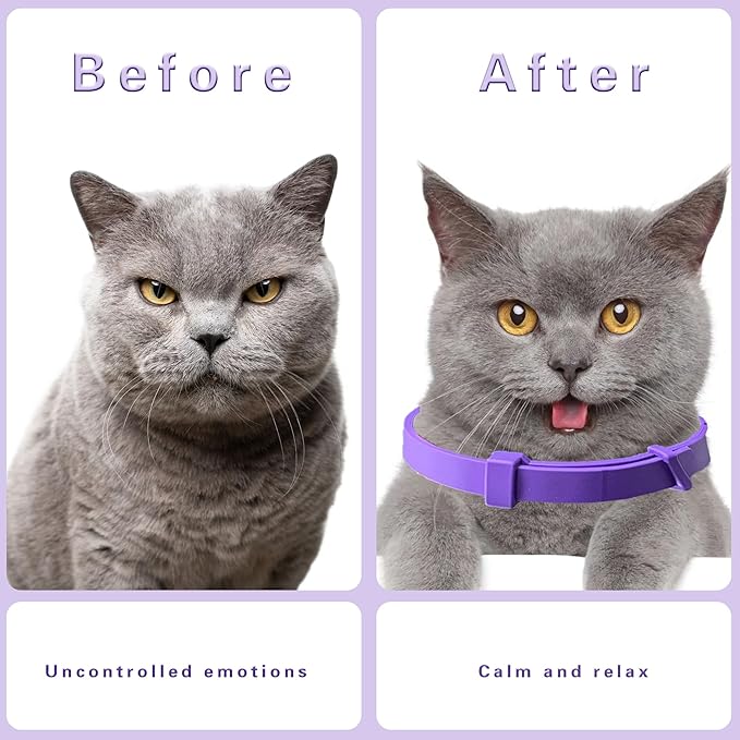 Simnice Calming Collar for Cats - 4 Pack, Cat Calming Collar, Adjustable Cat Pheromone Collars for Anxiety & Stress Relief, Efficient and Comfort (Purple)