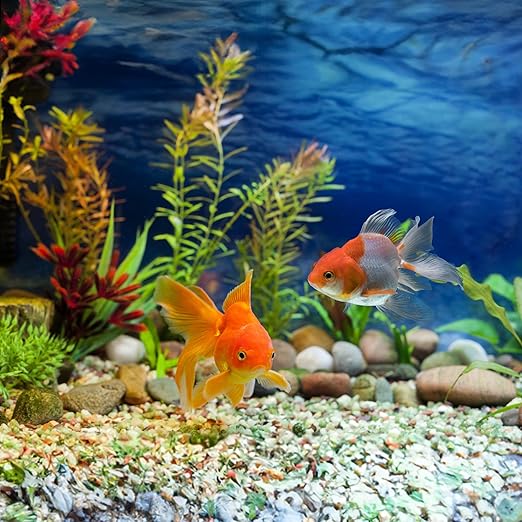 40lbs White River Rocks for Landscaping, 3-4 Inch Large Natural Unpolished Bulk Pebbles, Hand-Picked Premium Stones for Garden Design Fish Tank, Pathways and Backyard