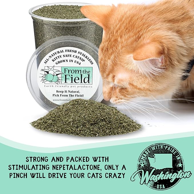 from The Field | Fine Ground Stalkless Catnip | Premium USA-Grown Catnip for Toys & Playtime | Fresh, Potent, Non-Toxic, Eco-Friendly | Safe for Kittens & Cats | Resealable 3 Oz Bag