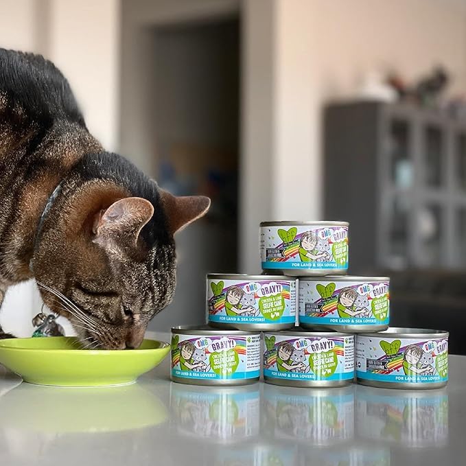 Weruva B.F.F. OMG - Best Feline Friend Oh My Gravy!, Lots-O-Luck! with Duck & Tuna in Gravy Cat Food, 5.5oz Can (Pack of 8)
