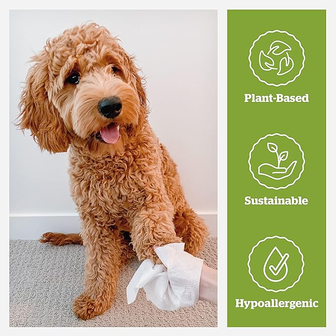 Pogi’s Dog Wipes Travel Packs – Hypoallergenic Pet Wipes for Paws, Body & Butt – Cleaning & Hydrating, Green Tea Scent, 120-Count