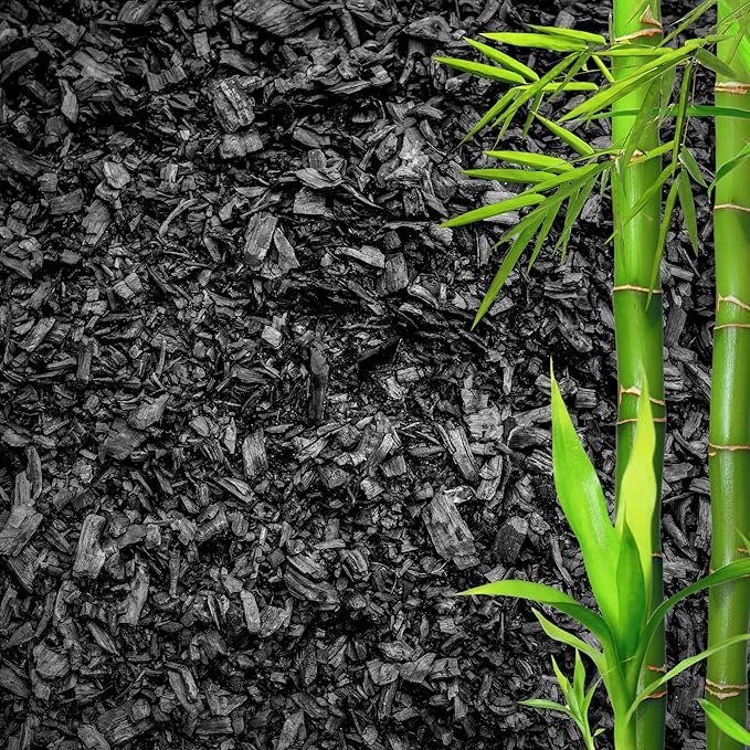 Horticultural Charcoal for Plants β Organic Bio Char Soil Amendment for Terrariums, Indoor Plants & Gardening, Made in USA (3 quarts)