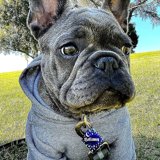 Personalized Dog Tag with 5 Lines of Custom Deep Engraved Durable Stainless Steel Pet ID Name Tag Designer Small Size Diamond