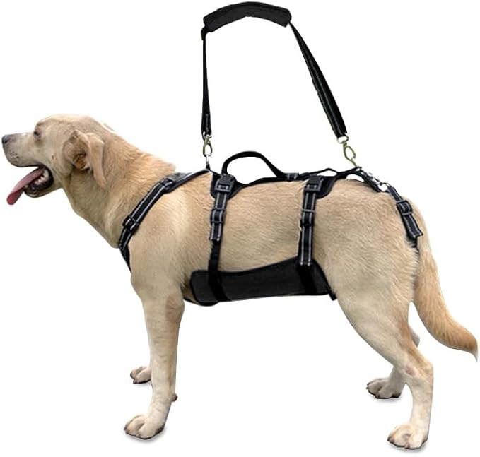 Coodeo Dog Lift Harness, Support & Recovery Sling, Pet Rehabilitation Lifts Vest Adjustable Breathable Straps for Old, Disabled, Joint Injuries, Arthritis, Paralysis Dogs Walk (Black,XL)