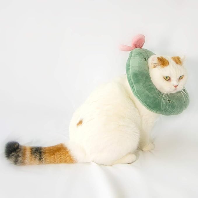 Adjustable Cat Recovery Collar Soft,Cute Pet E-Collar Neck Cone After Surgery Wound Healing Protective Cone Fit for Kitties, Small Dogs(ELC05-cactus-m)