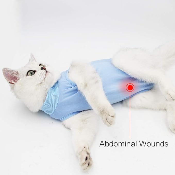 DOTON Cat Recovery Suit for Male and Female Surgical Post Surgery Soft Cone Onesie Shirt Clothes Neuter Licking Protective Diapers Outfit Cover Kitten Spay Collar(M, Blue)