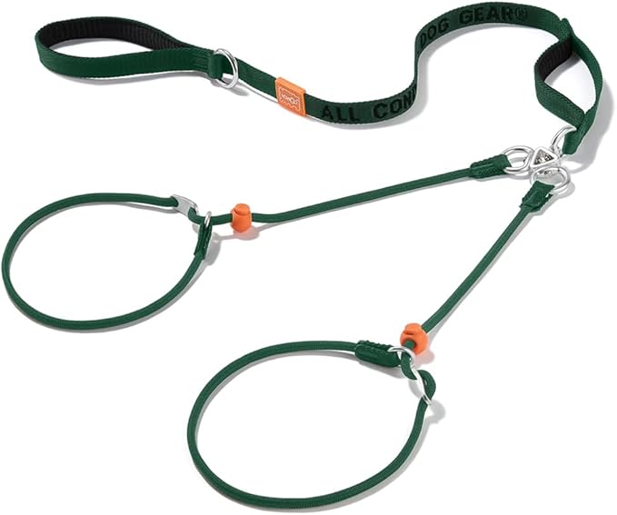 Howgo Double Slip Leash Slip Lead with Two Handles| Dual Dog Slip Lead for 2 Dogs,360° Swivel No Tangle | Dog Training Collar | Double Clip Leash Coupler and Splitter (Green, 6FT)