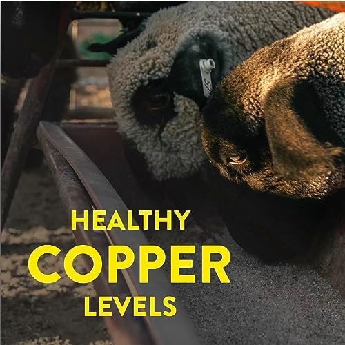 Redmond All Natural Sheep Mineral Supplement - Essential Trace Minerals for Overall Health and Growth Support - 5 lbs